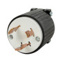 30A/125V Lock Plug L0530P